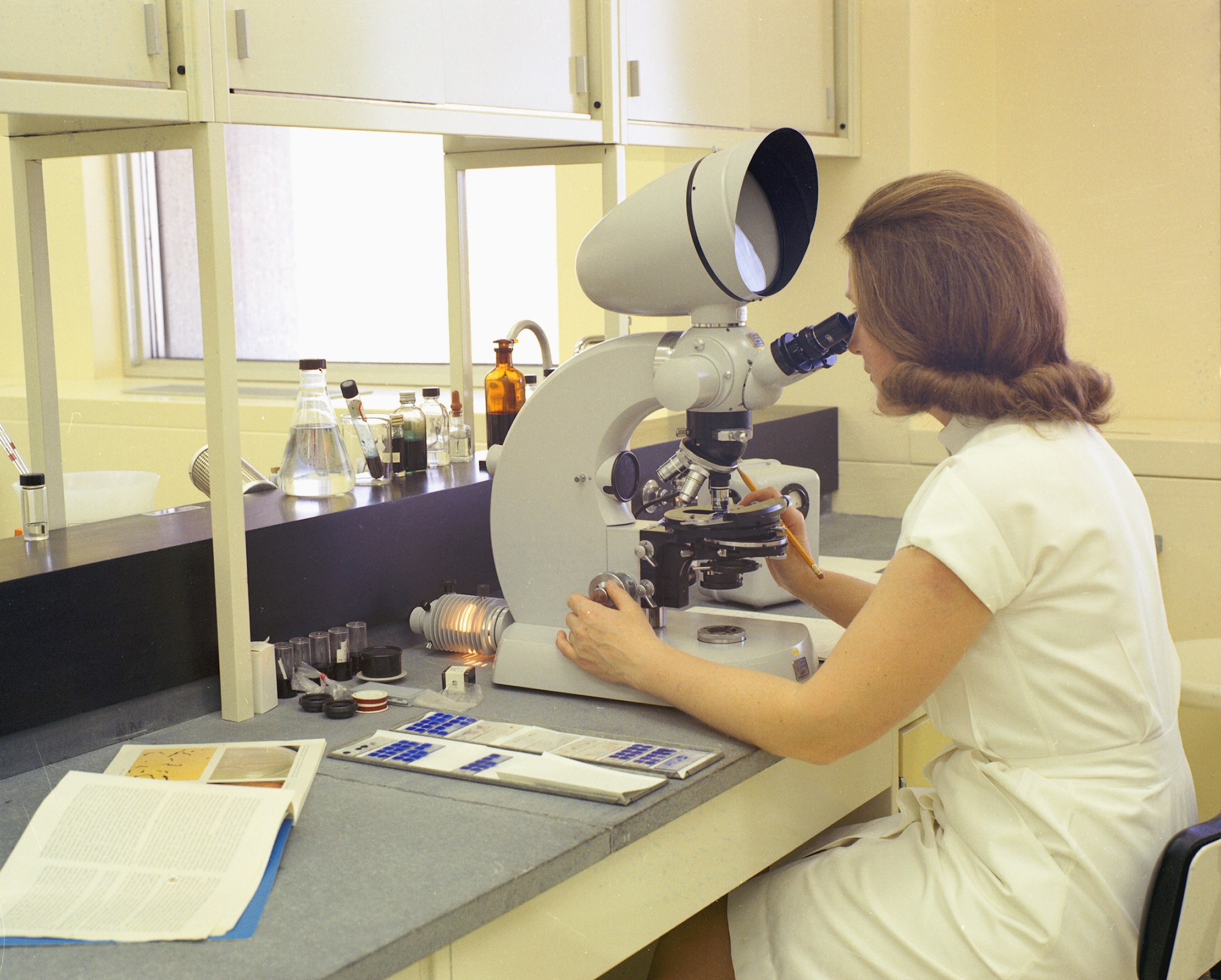 HACCP and Halal Certification: What They Actually Mean for Your Tea & Coffee Import Compliance